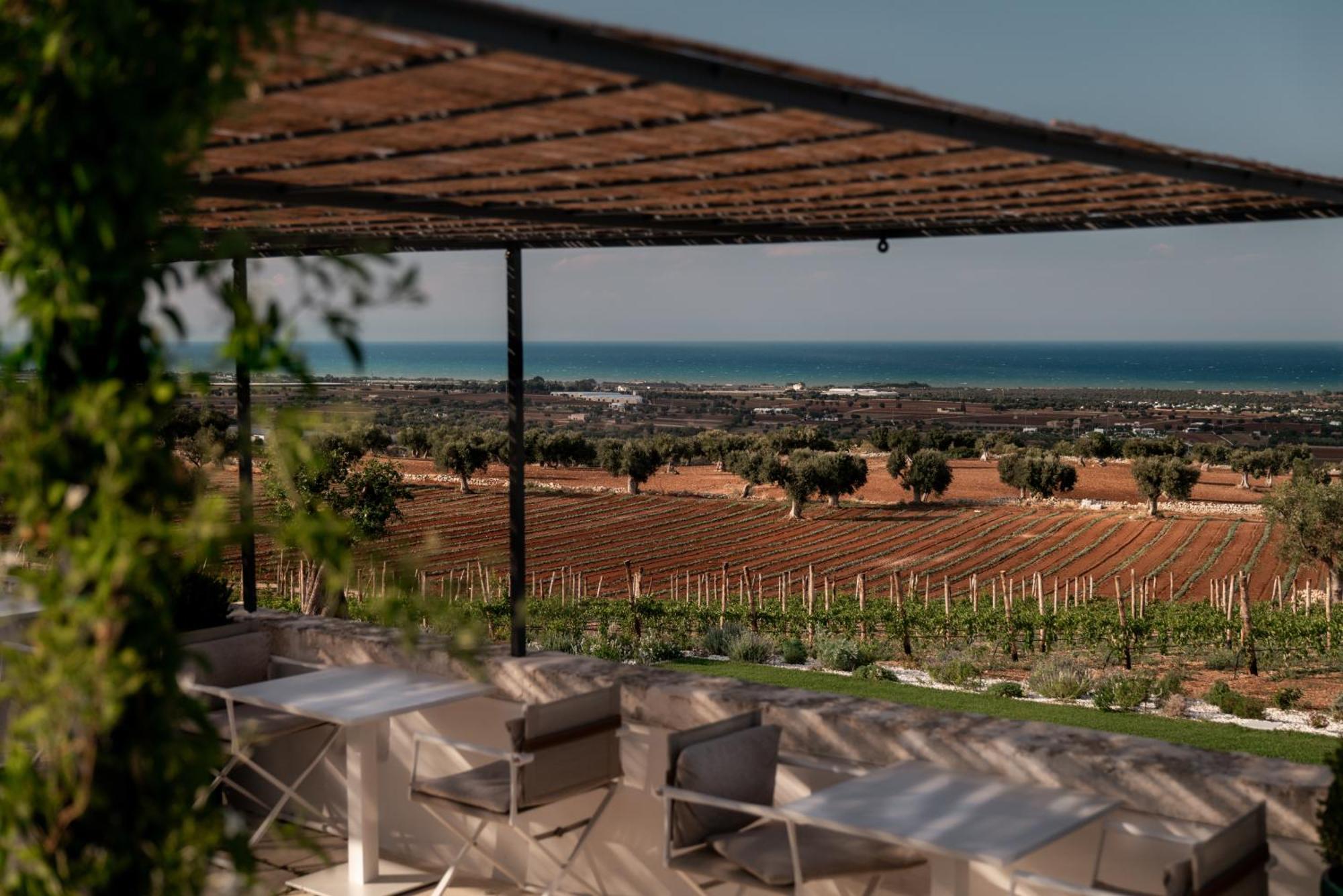 Masseria Auraterrae Polignano a Mare Zewnętrze zdjęcie