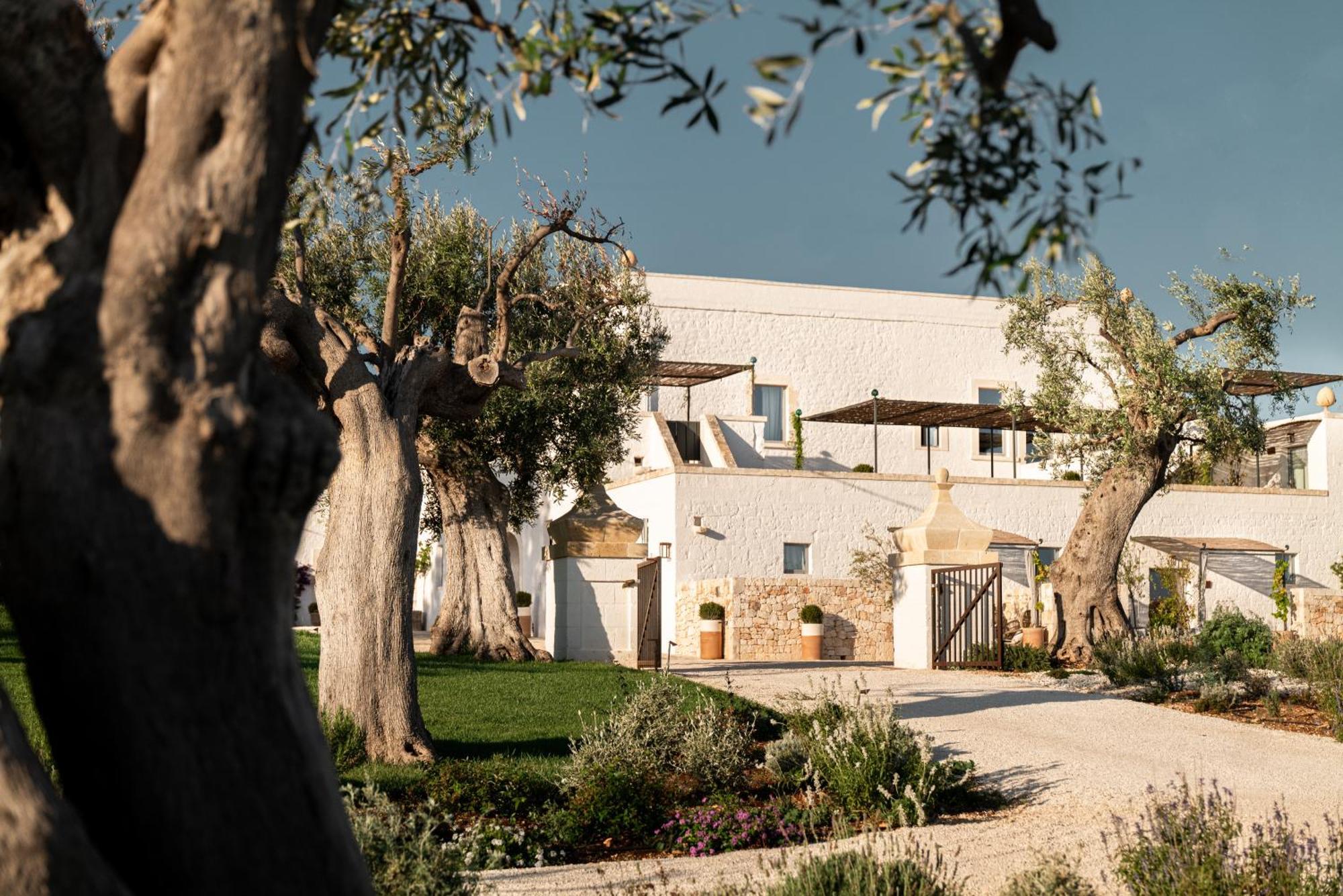 Masseria Auraterrae Polignano a Mare Zewnętrze zdjęcie