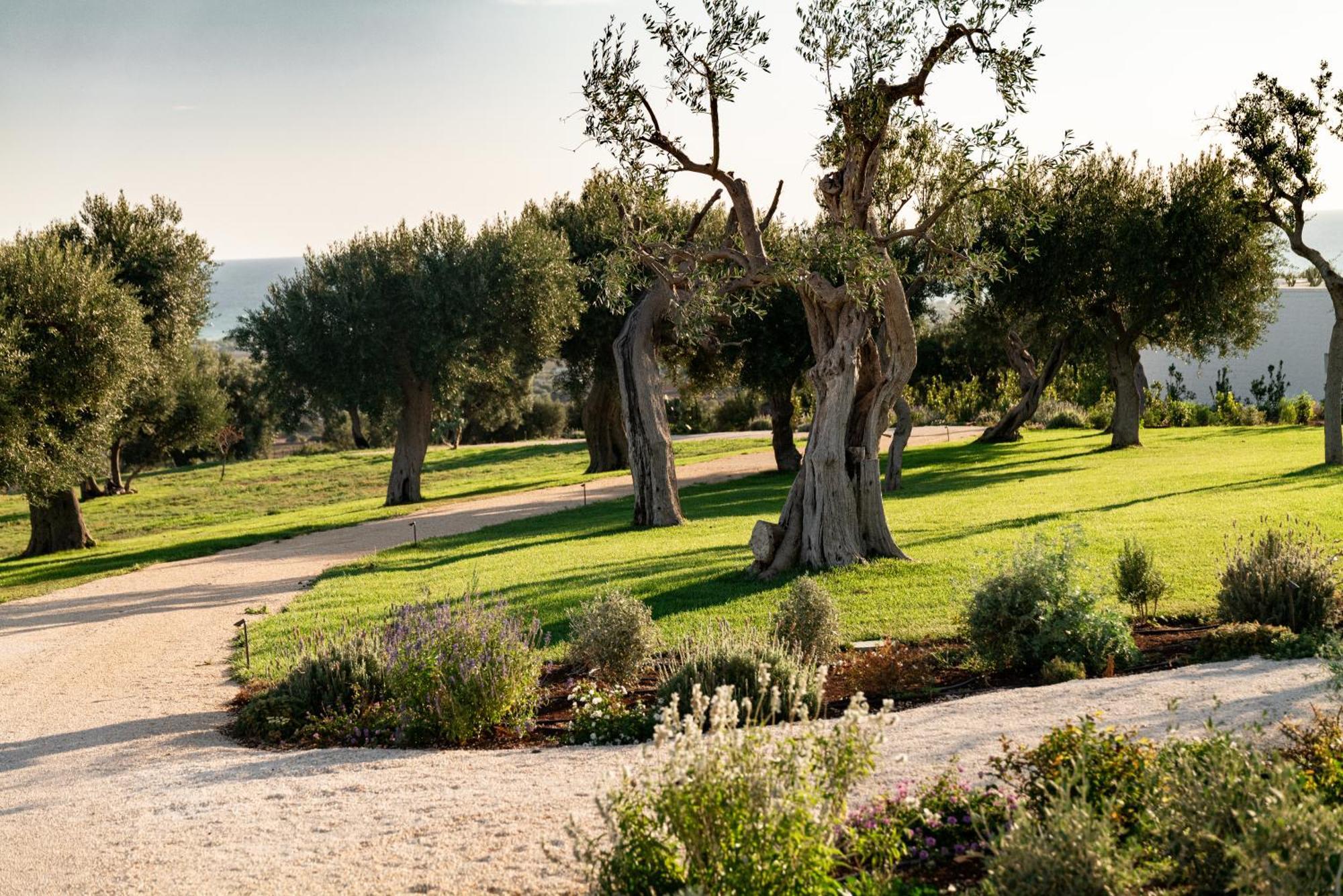 Masseria Auraterrae Polignano a Mare Zewnętrze zdjęcie